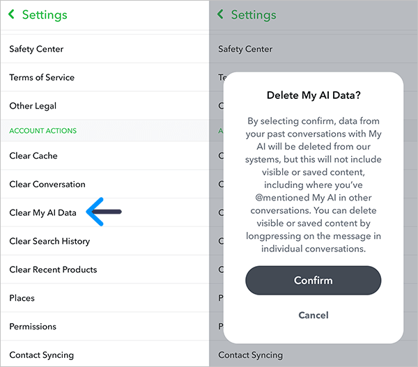 snapchat delete my ai data