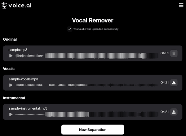 voice ai vocal remover